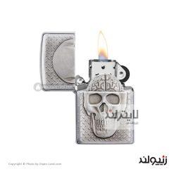29818 skull with brain surprise