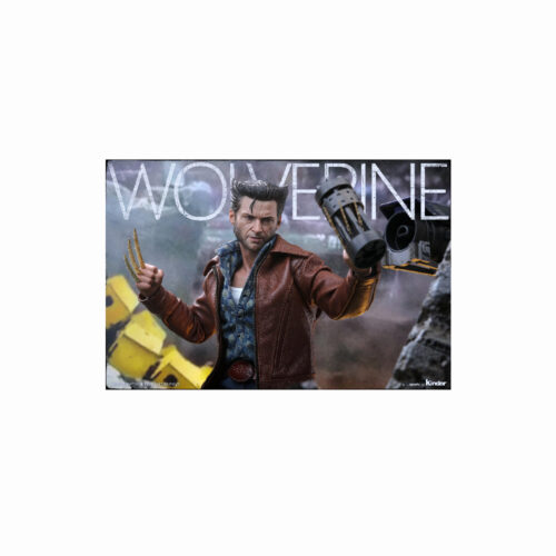 فیگور The Wolverine-1973 Version- in Deluxe Version 24 x men delux 09 1